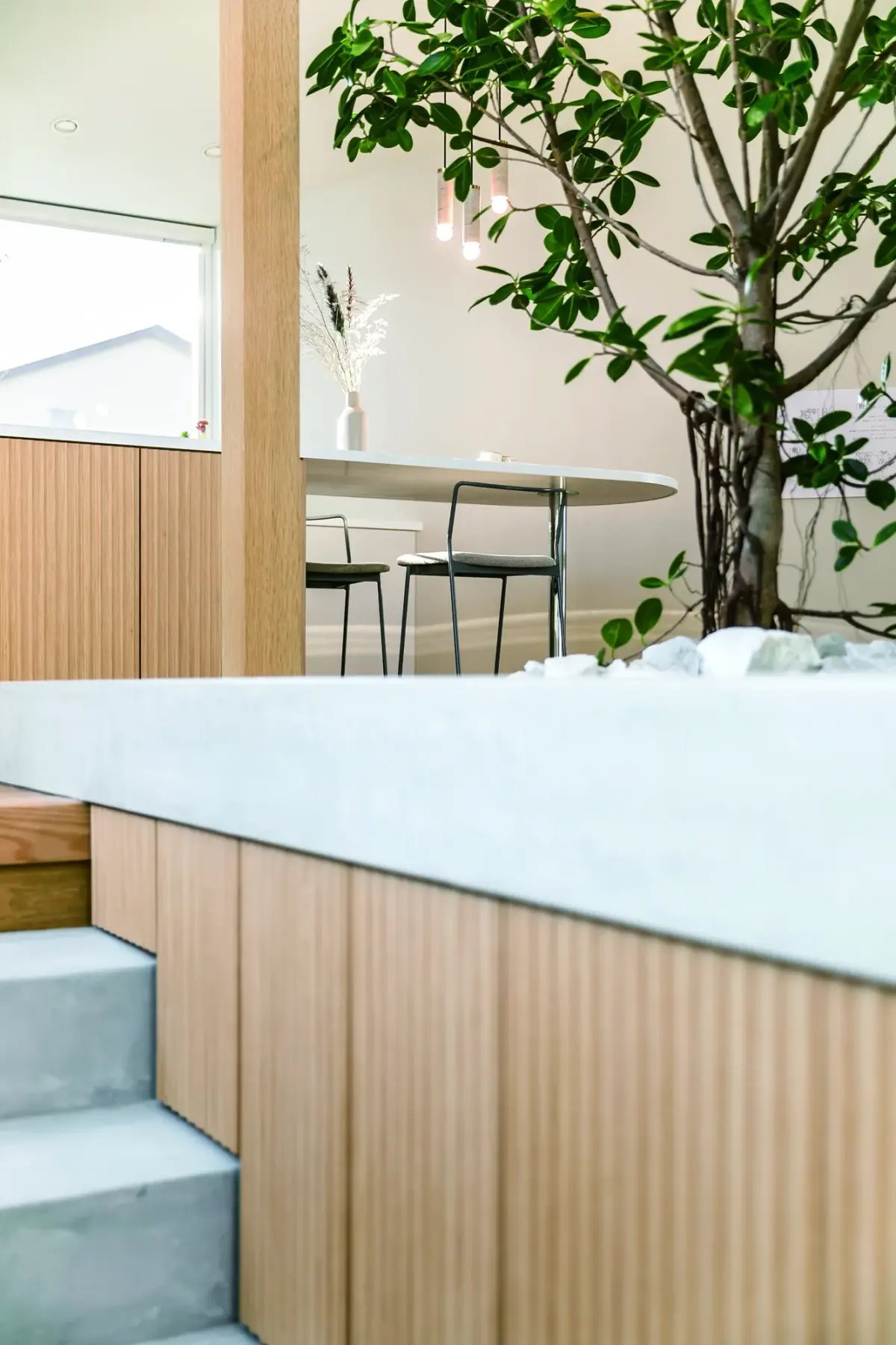 「樹」と暮らす家 5