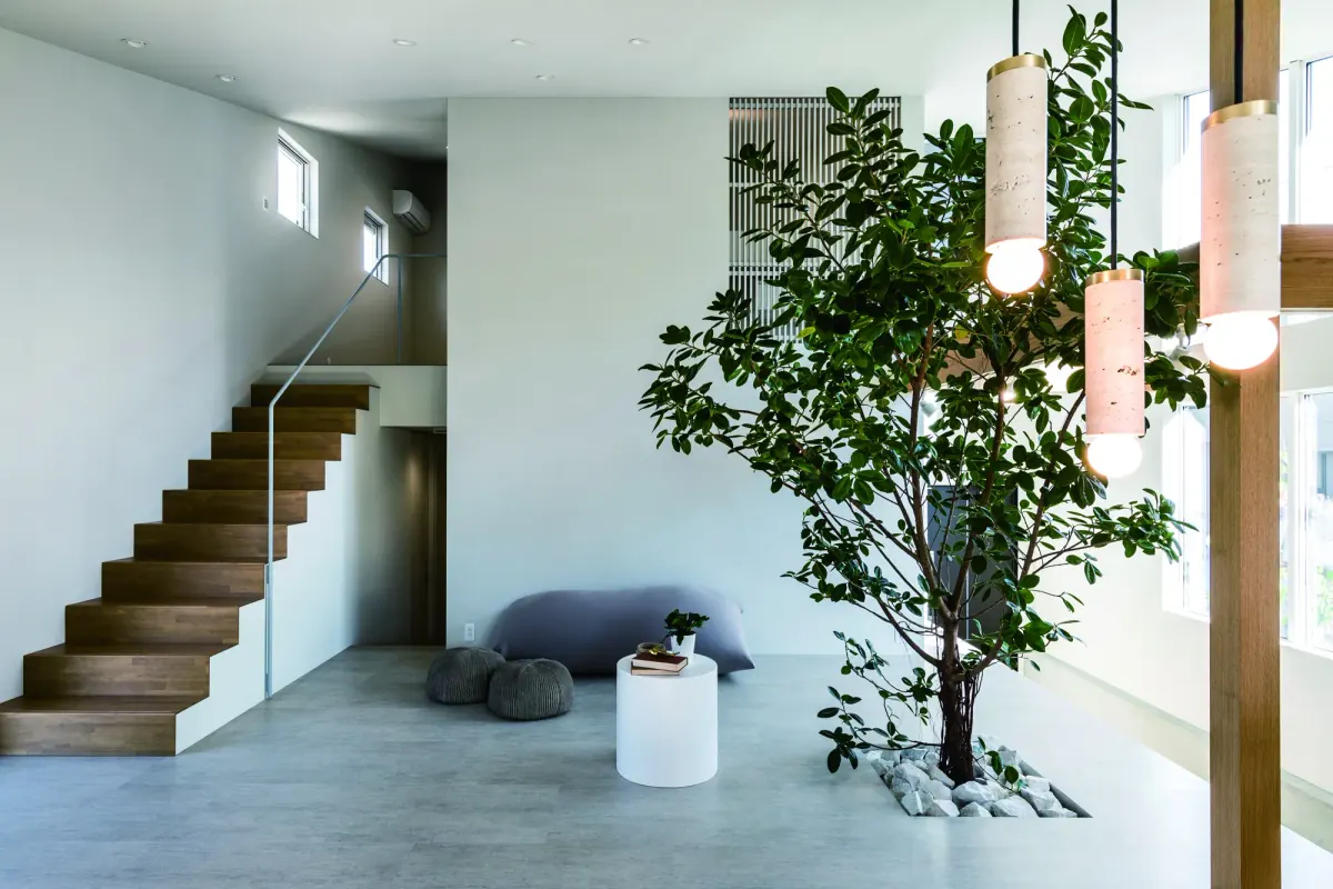 「樹」と暮らす家 3