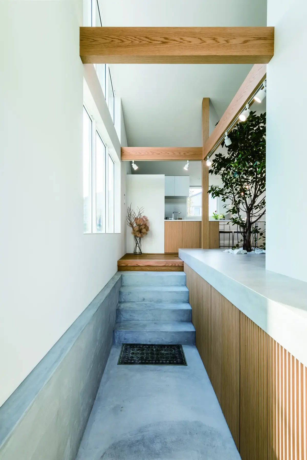 「樹」と暮らす家 4